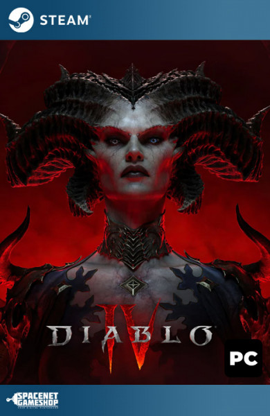 Diablo IV 4 - Standard Edition Steam [Account]